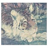 "Tiger" Framed Print by Dominic Chang