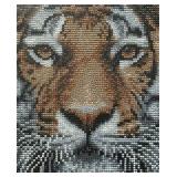 Tiger Design Diamond Framed Art