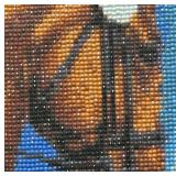 Horse Motif Diamond Art