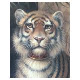 Large and Beautiful Framed Tiger Print