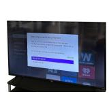 Roku TV with Remote