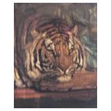 Framed Tiger Figurine Print by Jouve