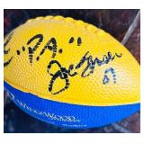 Collection of Minnesota Vikings Memorabilia