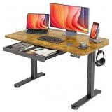 YDN Standing Desk with Drawers, Electric Adjustable Height 48 x 24 Inch Stand Up Desks for Home Office, Rustic Brown