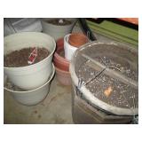 Assortment of larger outdoor plante...