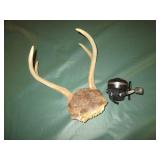 Small deer antler mount with Johnso...