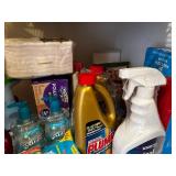 Assorted Household Cleaning Products and Supplies