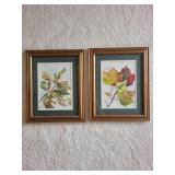 Pair of Framed Autumn Leaf Watercolor Paintings