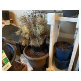 Collection of Assorted Garden Pots and Planters