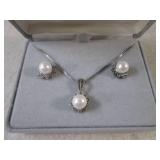 (FS) Sterling Silver Necklace and E...