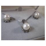 (FS) Sterling Silver Necklace and E...