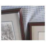 (C-2) 2 Signed Framed Anthony John ...