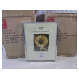 (BS) 12 - 8x10 Silver Reminiscent P...