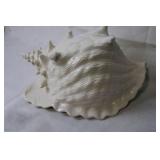 Ceramic Conch Shell Vase