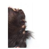 Traditional African Tribal Shield with Fur Detailing