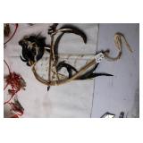 Set of Dream Catchers and Native Hand Drum with Feathers