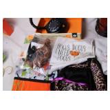 Halloween Costume and Decoration Collection