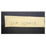 Lia Sophia Silver Necklace and Earring Set with Blue Accents - display not inc