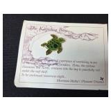 Set of Kapalua Bay Brooches and Decorative Clip-On Earrings