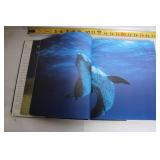 Wild Discovery Hardcover Book - Animal Photography and Commentary