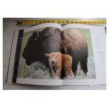 Wild Discovery Hardcover Book - Animal Photography and Commentary