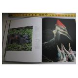 Wild Discovery Hardcover Book - Animal Photography and Commentary