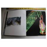 Wild Discovery Hardcover Book - Animal Photography and Commentary