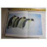 Wild Discovery Hardcover Book - Animal Photography and Commentary