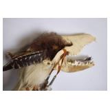 Unique Taxidermy Coyote Head Walking Stick with Feathers