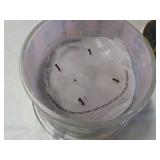 HomeworX Lavendar Vanilla 4 Wick Sc...