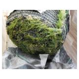 8 ft wide Roll of Grass Carpet from...