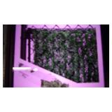 hedge slates for chaiin link fence ...