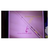 new 25 foot high ceiling duster kit...