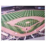 Large MN Twins on Canvas Great Color Great Condition