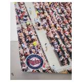 Large MN Twins on Canvas Great Color Great Condition