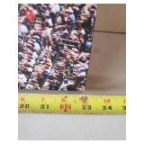 Large MN Twins on Canvas Great Color Great Condition