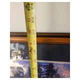 Gorgeous Lure of the Wilderness By Darrell Bush with Certificate of Authenticity