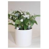 Artificial Plant in White Pot with White Flowers