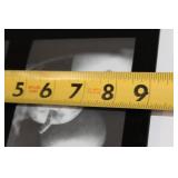 Collection of 5 Picture Frames Including Tweety and Scenic Designs