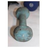 Set of Dumbbells and Everlast Ankle Weights