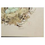 Framed Bird Illustration Art by Barrett