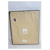 Framed Bird Illustration Art by Barrett