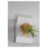 Easter Decor Set with Bunny Bait Sign and Carrot Truck