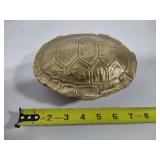 Brass Tortoise Shell Trinket Holder