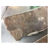 2 Slabs Fossil Leaves - Slabs 23" & 31" Long