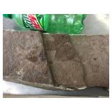 2 Slabs Fossil Leaves - Slabs 23" & 31" Long