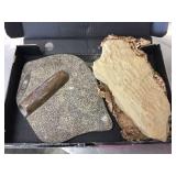 Fossil Specimen 11 1/2" x 9" + Limestone Fossil Lief Print