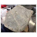 Fossil Specimen 11 1/2" x 9" + Limestone Fossil Lief Print