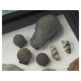 Nice Fossil Display - 12" x 15"