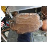 Vintage Carved Wooden Tribal Couple - 11" Tall